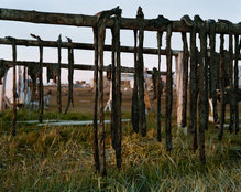 &nbsp;/&nbsp;SEAL MEAT DRYING