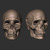 Daniel-peteuil-anatomy-studies-cg-thumb-60