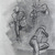 Daniel-peteuil-gesture-drawings-thumb-32