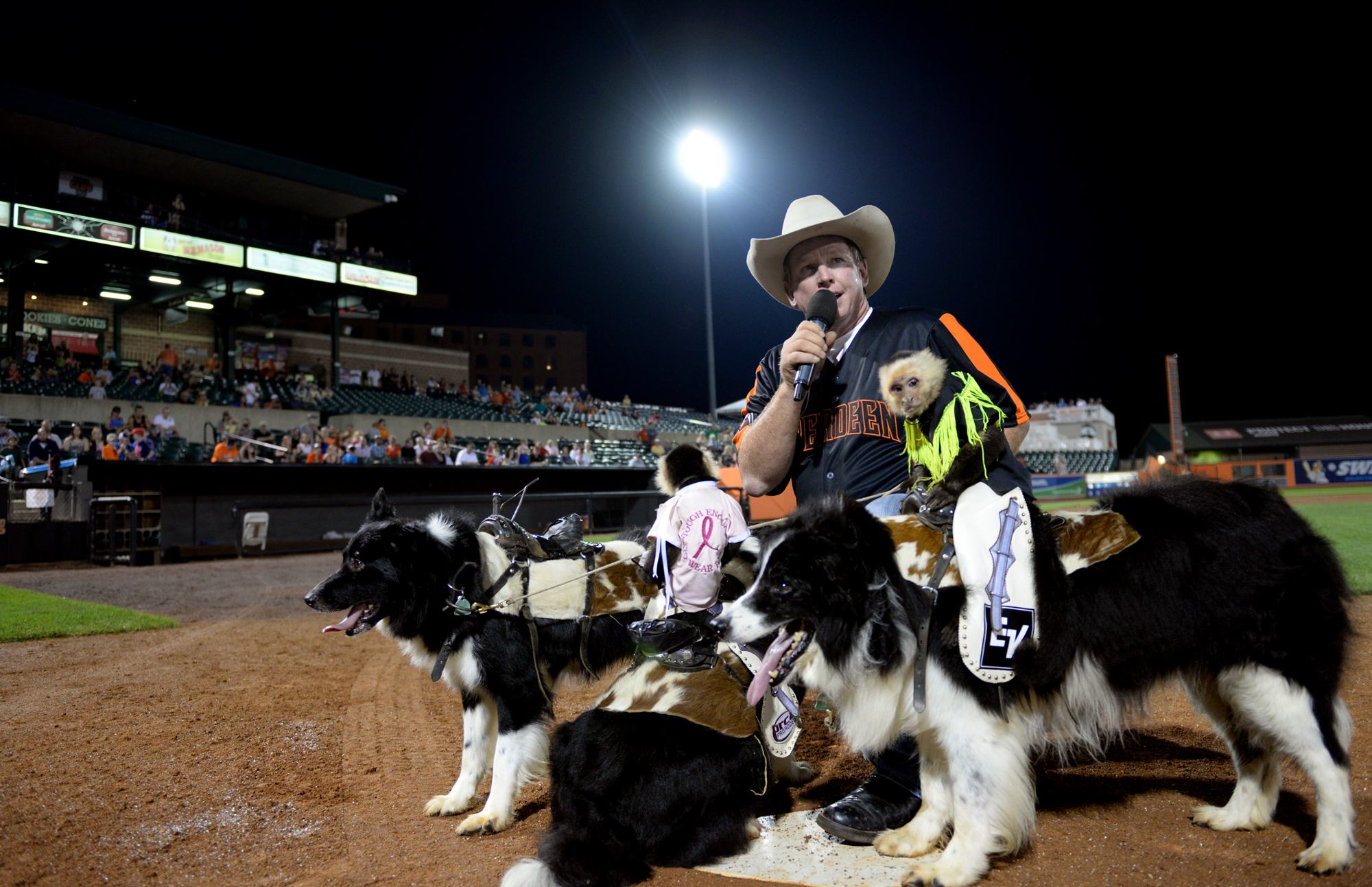Cowboy Monkey Rodeo performs during Aberdeen IronBirds game