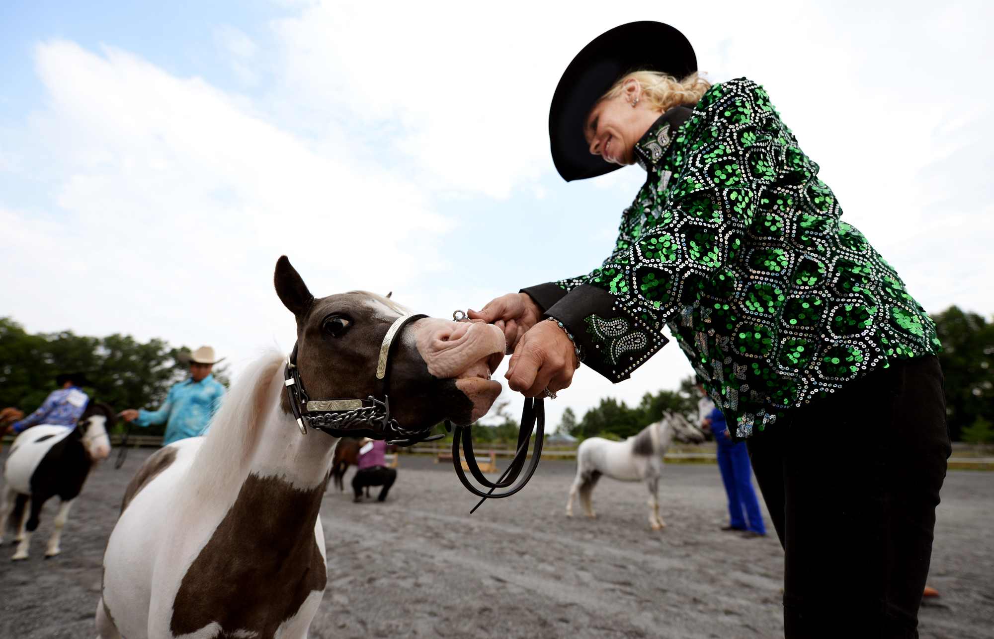 Miniature Horse Show