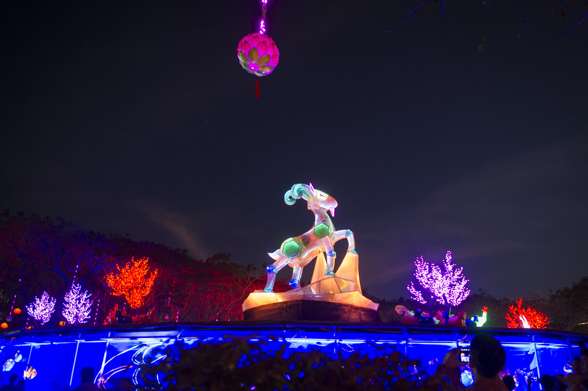 Chinese Lunar New Year