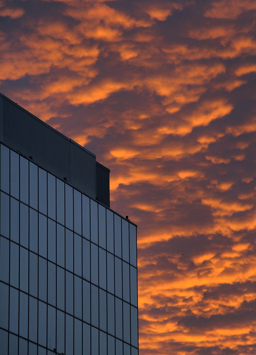 Leave a Reply Cancel