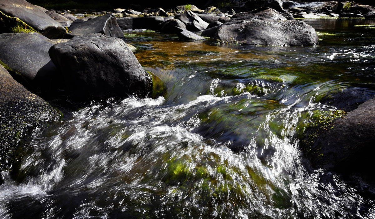 Along the Big Gunpowder Falls