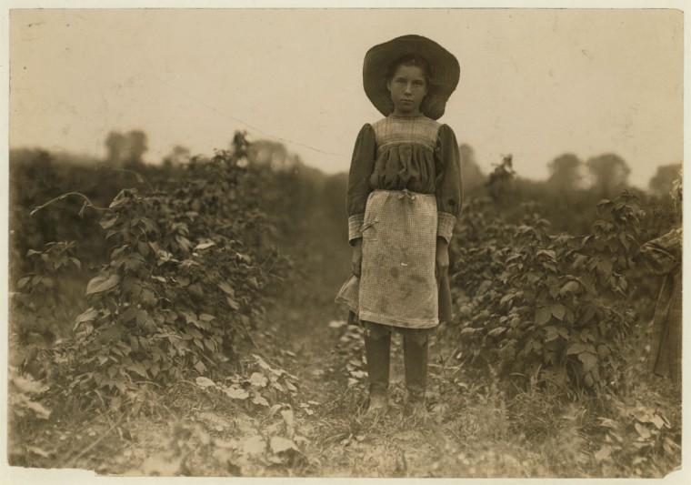 Bertha Marshall a berry picker on Jenkins Farm, Rock Creek, near Baltimore, Md. Been at it 2 summers. Picks about 10 boxes a day. (2 cents a box). Photo July 7, 1909. Location: Baltimore, Maryland. (Lewis Hine/Photo courtesy LOC)