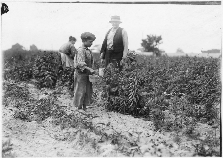Original Caption: Johnnie Yellow, a young Polish berry picker on Bottomley Farm. Says he is 10 years old and has gone to Biloxi, Miss. for 9 years with family and has worked there in winter and here in summer for three years. He is stunted, being only 39 inches high. Many of these children are stunted. Rock Creek, Md, June 1909. (Lewis Hine/Photo courtesy of NARA)