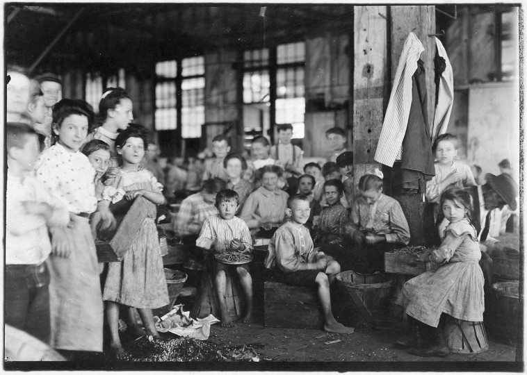 Original Caption: Group showing a few of the workers stringing beans in the J.S. Farrand Packing Co. Those too small to work are held on laps of workers or stowed away in boxes. Baltimore, Md, June 1909. (Lewis Hine/Photo courtesy of NARA)