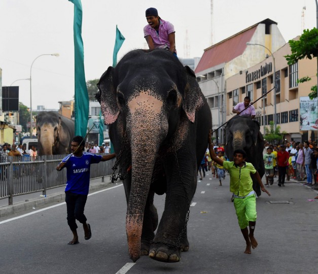 Sri Lanka National New Year