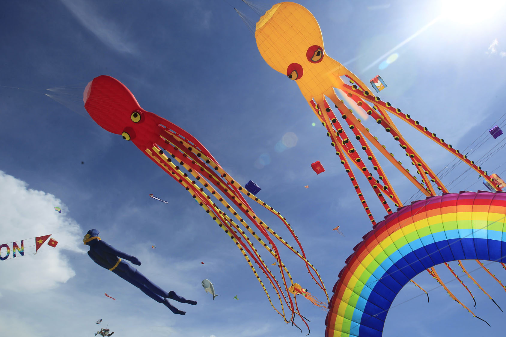 APphoto_Vietnam Kite Festival