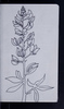 31935-34