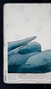 32502-63