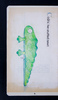 28630-09