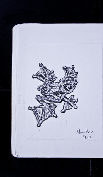 S59361-27