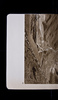 S60008-07