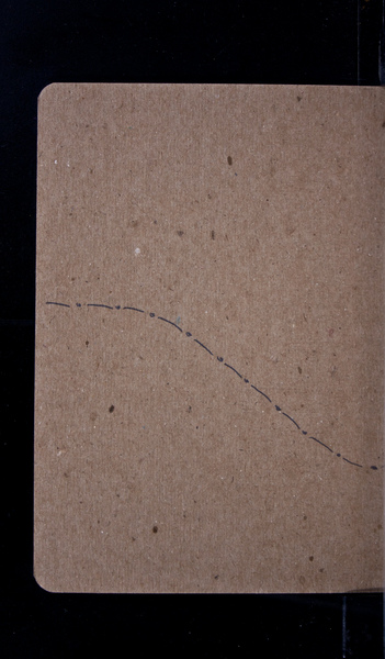 S38496-03