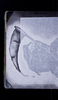 S63953-33