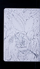 S65448-07