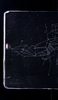 S66005-19