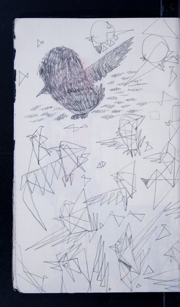 23259-29
