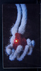 23687-19