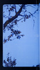 29197-03