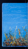 29197-07