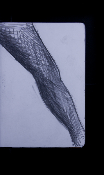 S125217 18