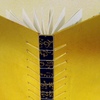32b8c6c5