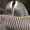 0ba779a1