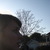 2b74204c