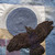 32ca586b