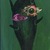 Edaffa01