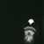 E625d80a