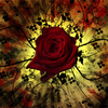 F5deeb31