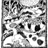 3242c243