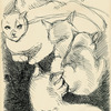 C20da106