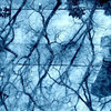 6f152c03