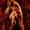 Fdd92792