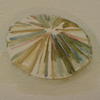 D101eeac