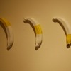 D333394c