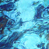 E2953a43