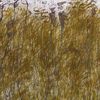 E06bc477