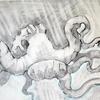 7426df9d