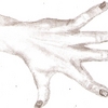 A5e08b01
