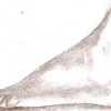 0ef992a0