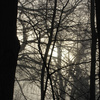 7d301ced