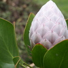 Ca7f3797