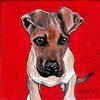 21acbad9