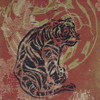 194eb247