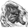 Fa9cc092